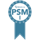 Professional Scrum Master PSM I